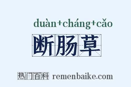 断肠草是什么意思的图片